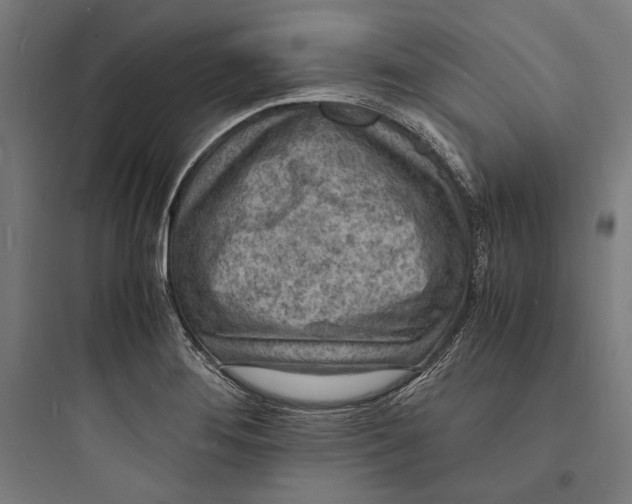 X0000093731276200711060952