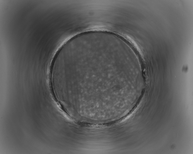 X0000093731277200711060952