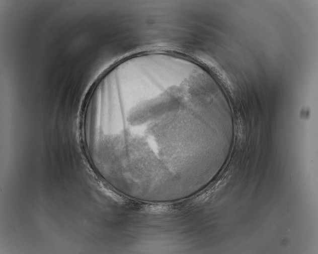 X0000093731278200711060952