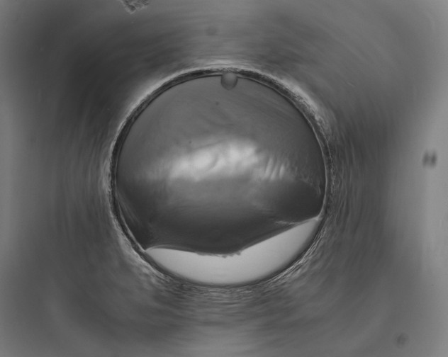 X0000093731279200711060952