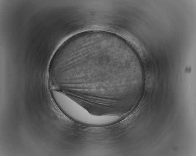 X0000093731280200711060952