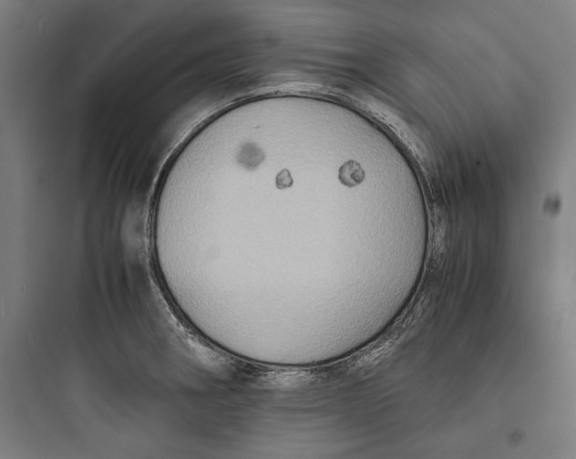 X0000093731282200711060952