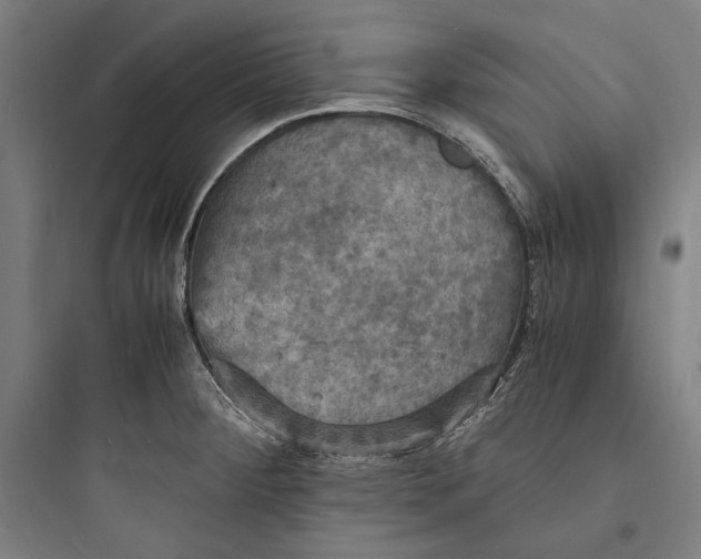 X0000093731284200711060952