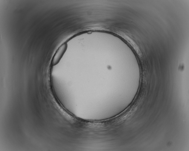 X0000093731285200711060952