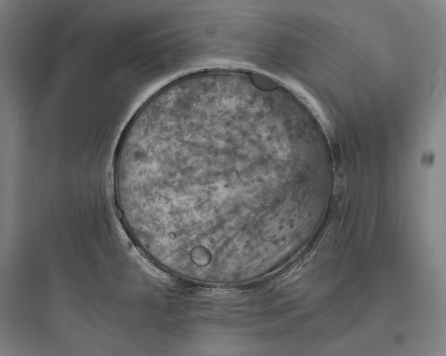 X0000093731287200711060952