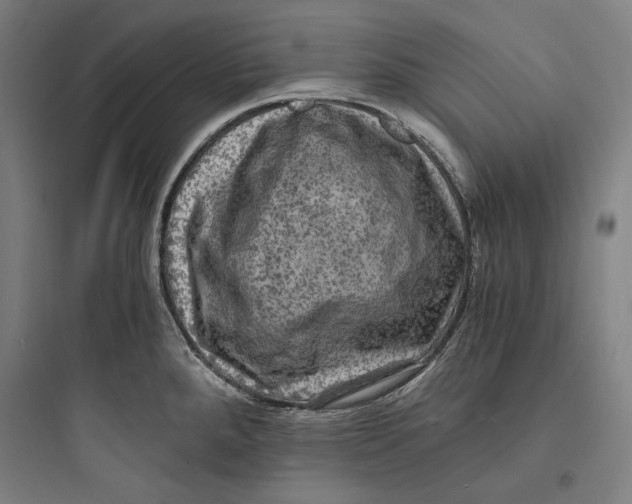 X0000093731288200711060952