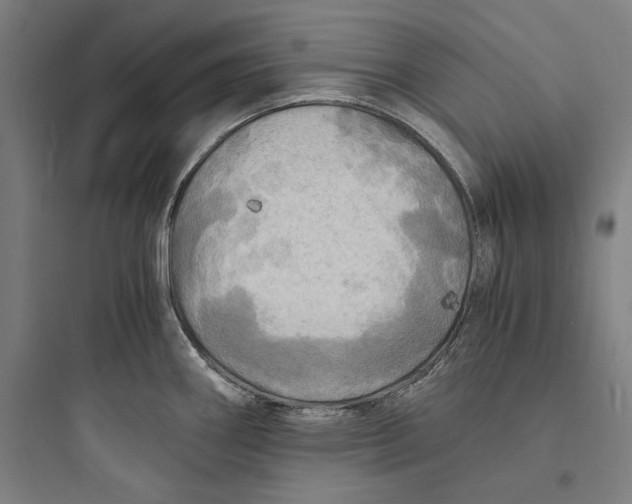 X0000093731290200711060952