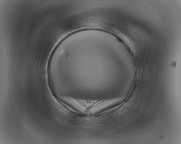 X0000093731291200711060952