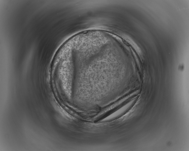 X0000093731292200711060952