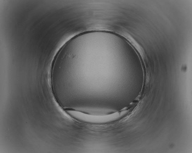 X0000093731293200711060952