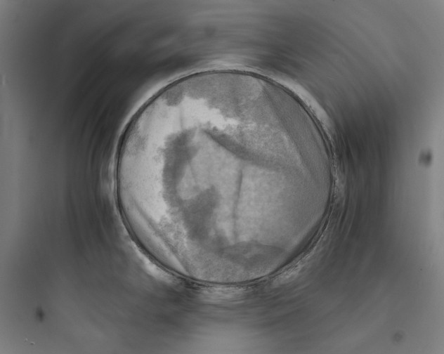 X0000093731294200711060952