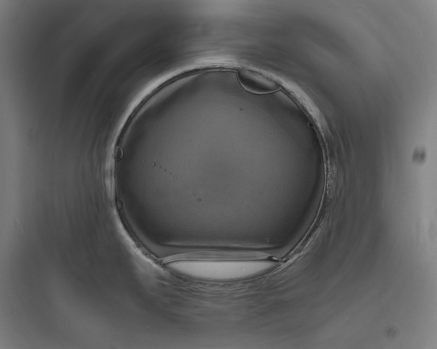 X0000093731295200711060952