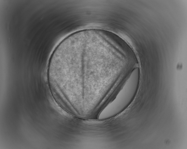 X0000093731296200711060952