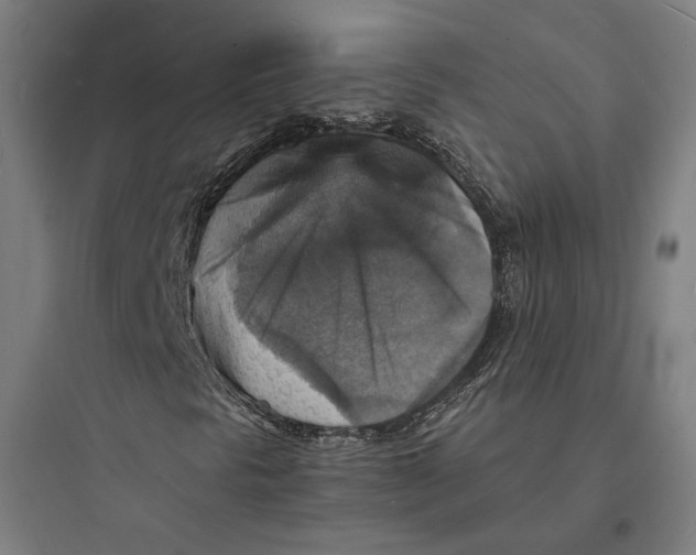 X0000093731297200711060951