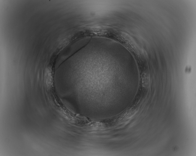 X0000093731298200711060951