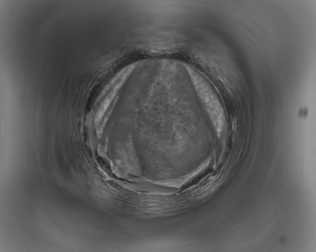 X0000093731300200711060951