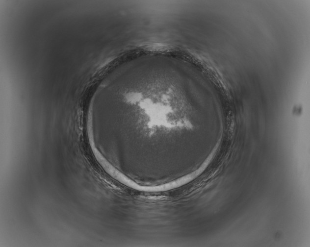 X0000093731301200711060951