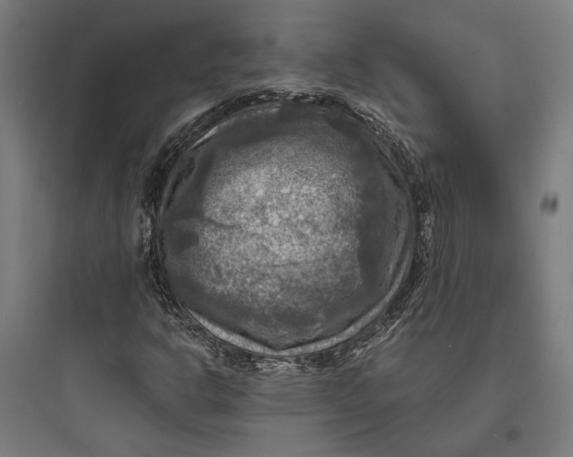 X0000093731302200711060951