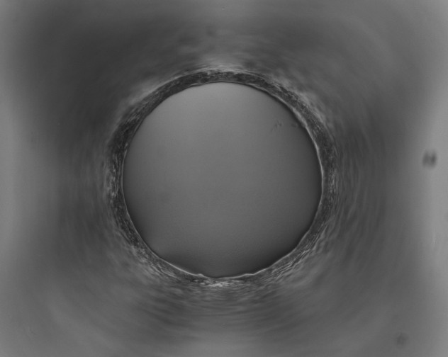 X0000093731303200711060951