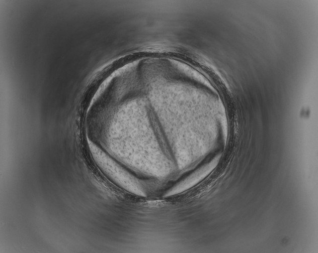 X0000093731304200711060951