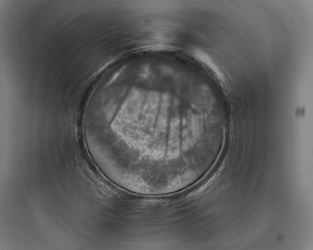 X0000093731305200711060951