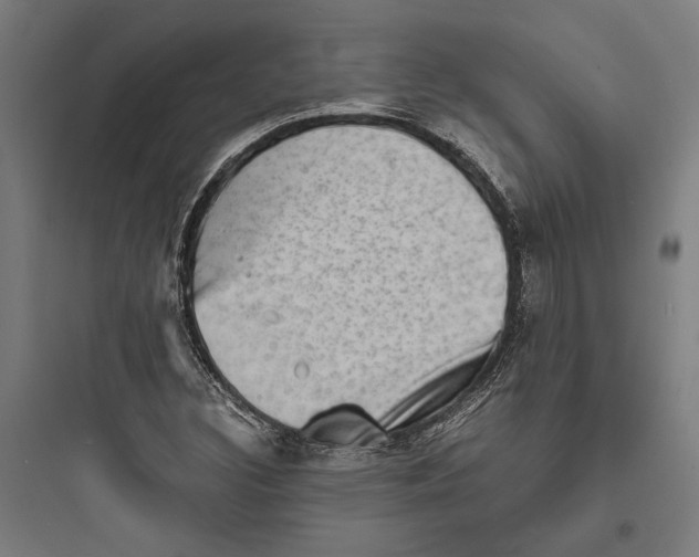 X0000093731308200711060951