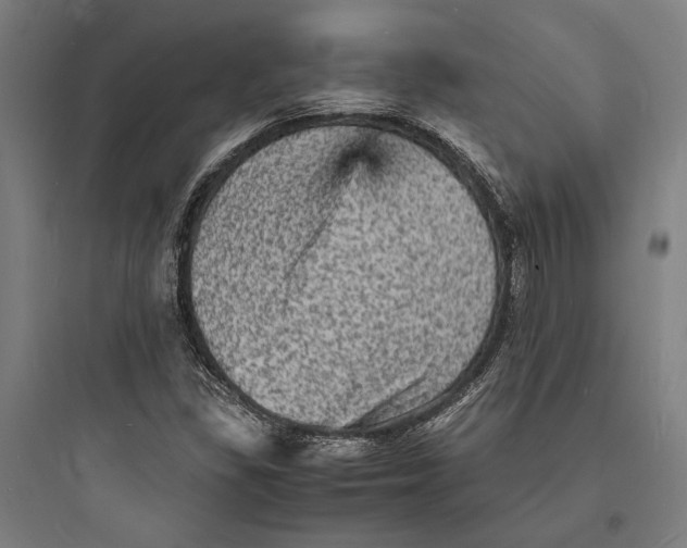 X0000093731309200711060951