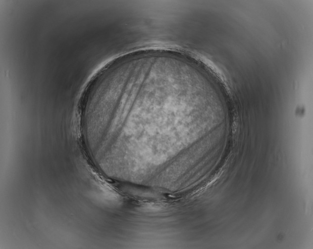 X0000093731310200711060951