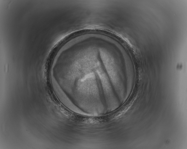 X0000093731311200711060951