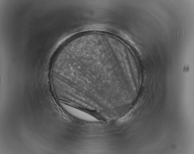 X0000093731312200711060951