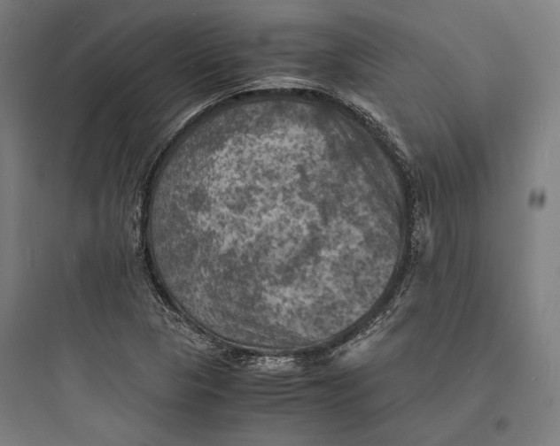 X0000093731313200711060951