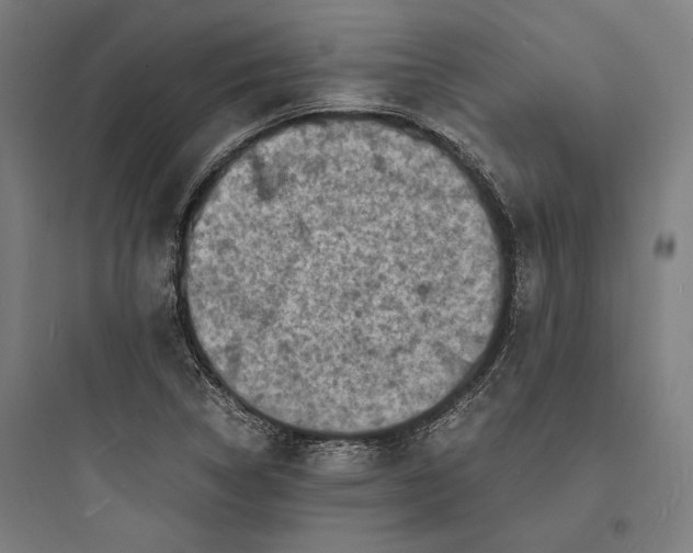 X0000093731314200711060951