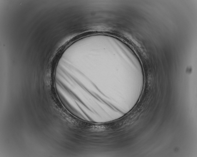 X0000093731315200711060951