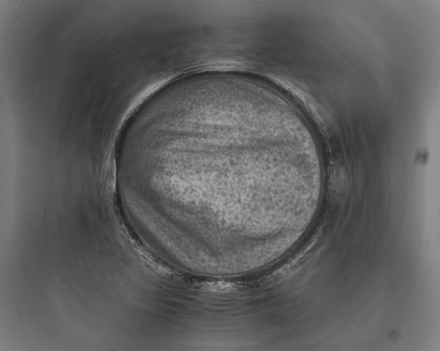 X0000093731317200711060951