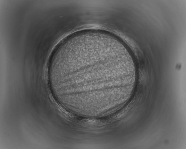 X0000093731318200711060951