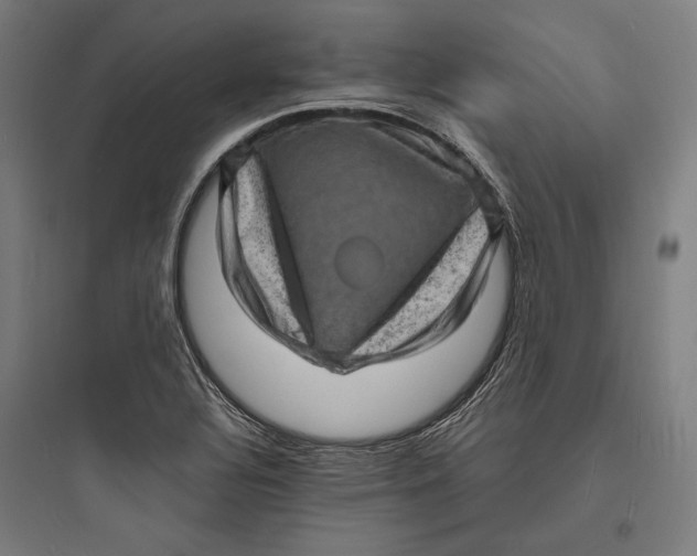 X0000093731320200711060951