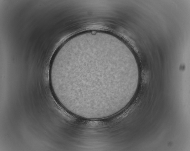 X0000093731322200711060951