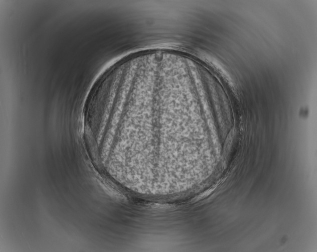 X0000093731324200711060952