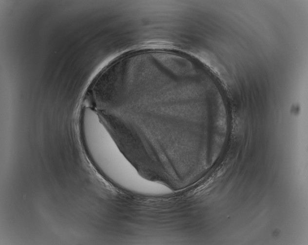 X0000093731325200711060952