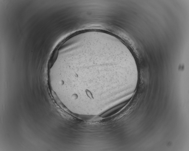 X0000093731328200711060952