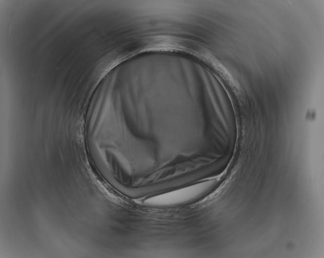 X0000093731329200711060952