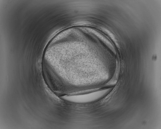 X0000093731330200711060952