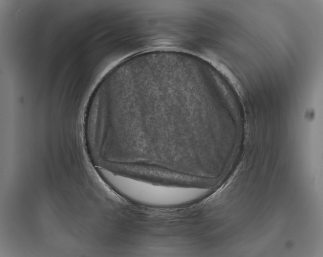 X0000093731333200711060952