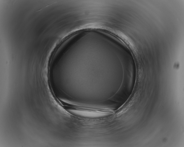 X0000093731334200711060952