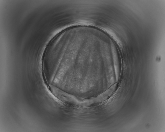 X0000093731335200711060952