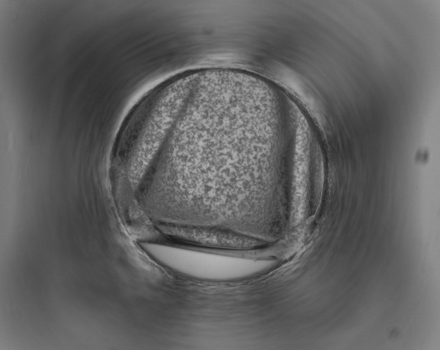 X0000093731336200711060952