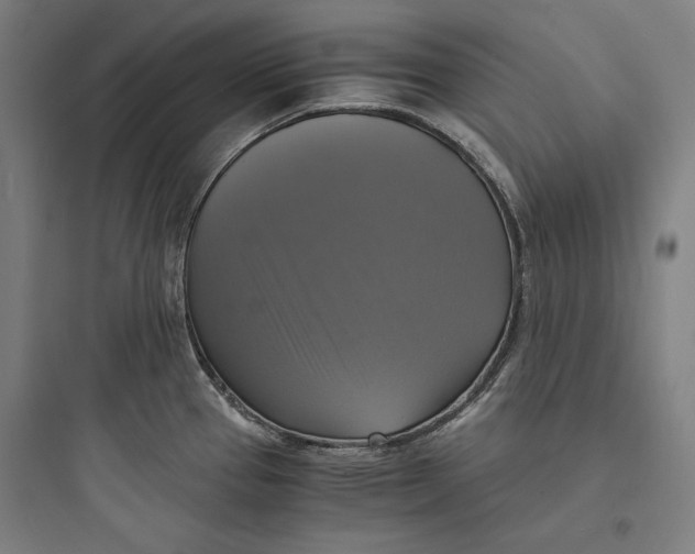 X0000093731337200711060952