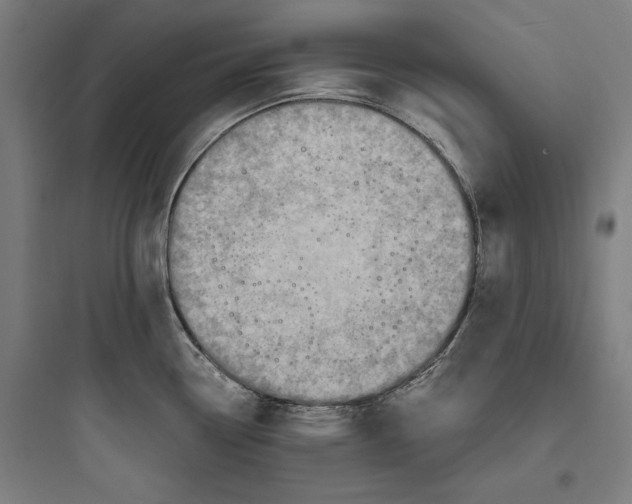 X0000093731338200711060952