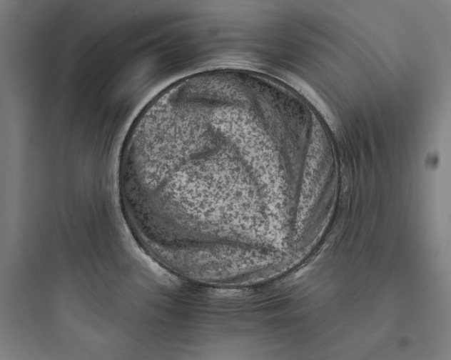 X0000093731339200711060952