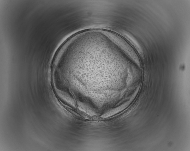 X0000093731340200711060952